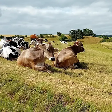 Am Kuhstall Bad Muenstereifel
