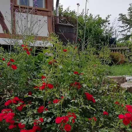 Am Kuhstall * Bad Muenstereifel