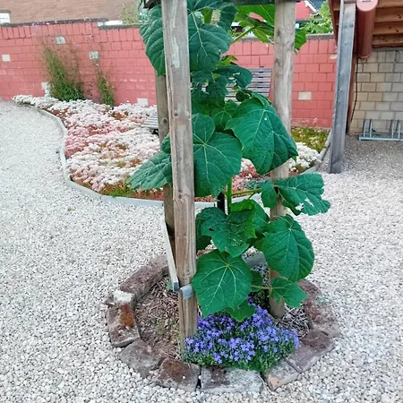 Dom wakacyjny Am Kuhstall *