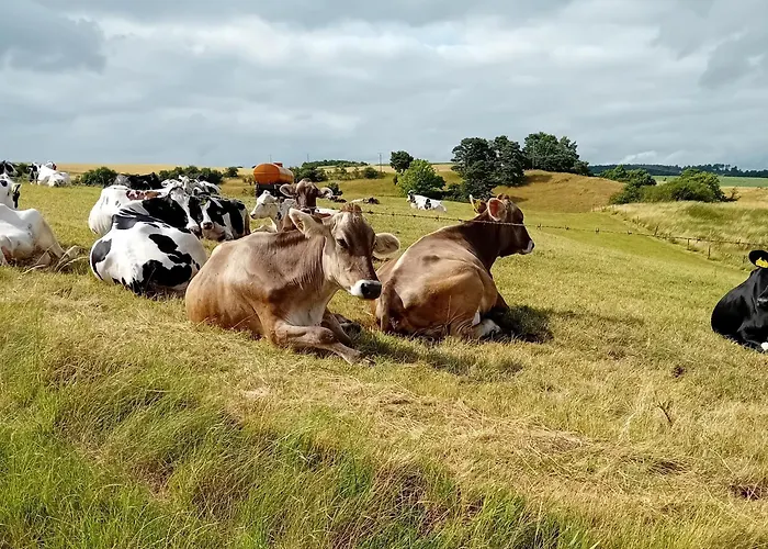 Am Kuhstall Bad Muenstereifel