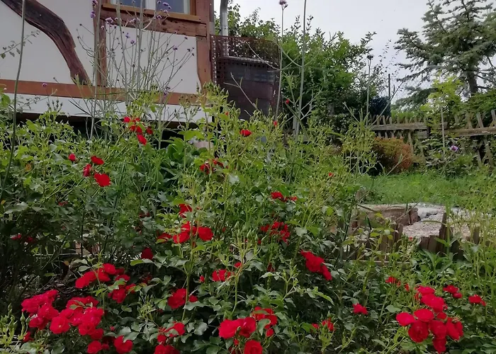 Am Kuhstall * Bad Muenstereifel