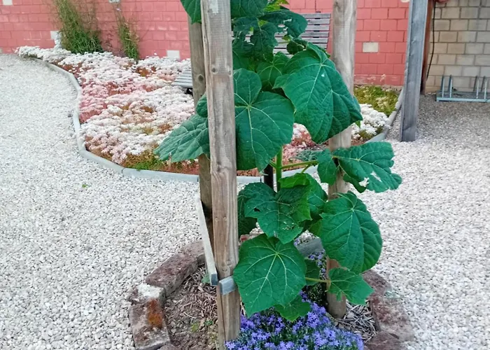 Casa vacanze Am Kuhstall *